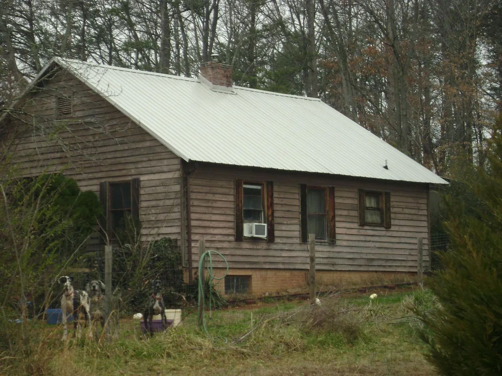 White metal roof on an old wood sided farmhouse, from a Asphalt Shingle Roof Repair job in Dickson
